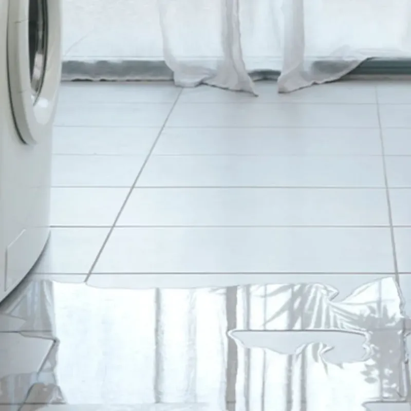 Appliance Leak Cleanup in Pickens County, AL