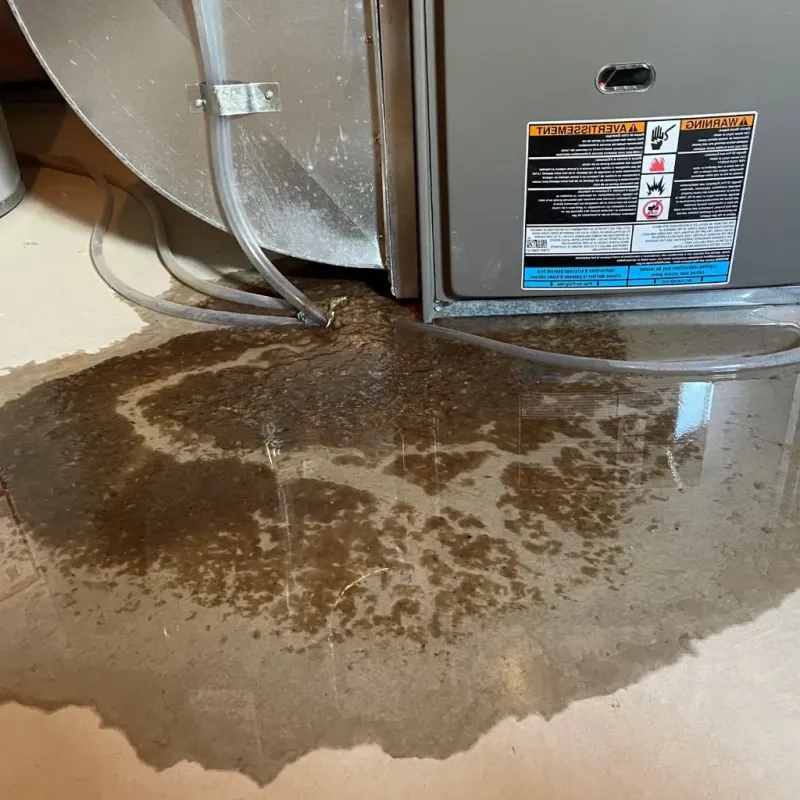 Pipe Burst and Leak Restoration in Pickens County, AL